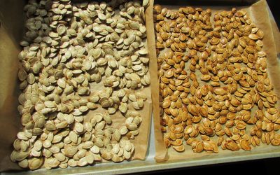 Original & Maple Brown Sugar Pumpkin Seeds